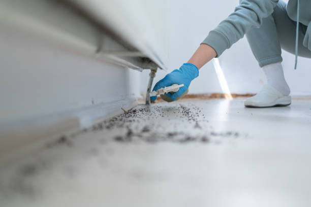 Trusted Weddington, NC Pest Control Experts